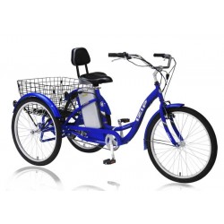 Currie IZIP TriCruiser Tricycle