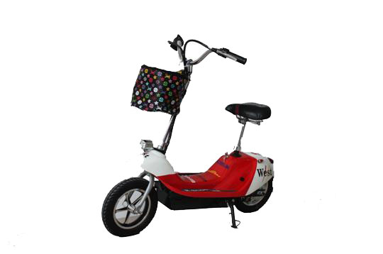 Rad2Go Dolphin Electric Scooter
