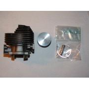 Piston & cylinder, rings, clips, wrist pin 20013