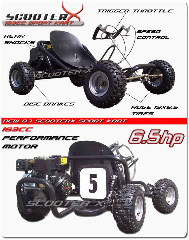 ScooterX 163cc Sport Kart Go Kart