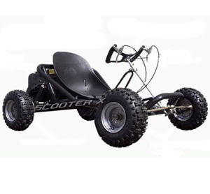 ScooterX 163cc Sport Kart Go Kart