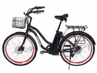 24 Volt Malibu Elite Electric Bicycle